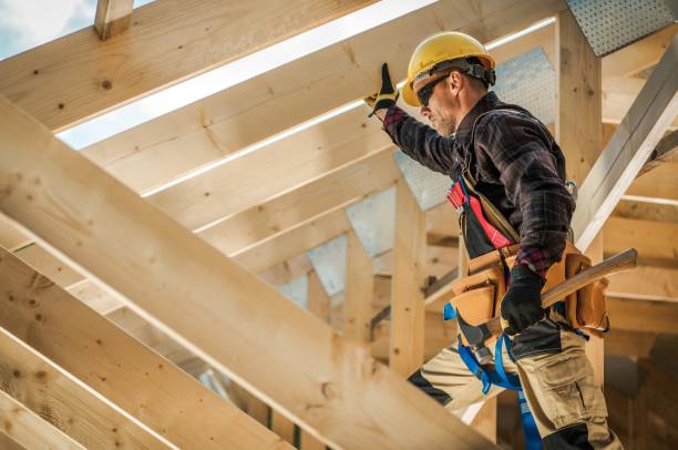 Best Roof Gutter Cleaning  in Lexington, MO